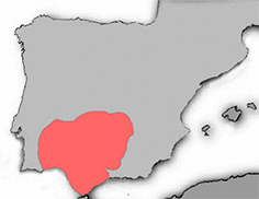 Pseudochondrostoma willkommii_mapa.jpg